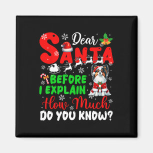 Aimant Avant D'Expliquer Combien Vous Connaissez Xmas Pap