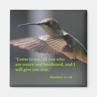 aimant avec colibri - vous reposer