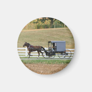 Aimant avec des erreurs amish de chariot