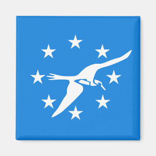 Aimant avec Drapeau de Corpus Christi, Texas, USA