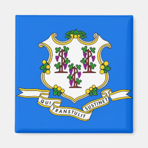 Aimant avec drapeau de l'État du Connecticut - Éta