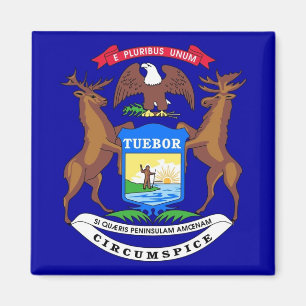 Aimant avec drapeau de l'État du Michigan - États-
