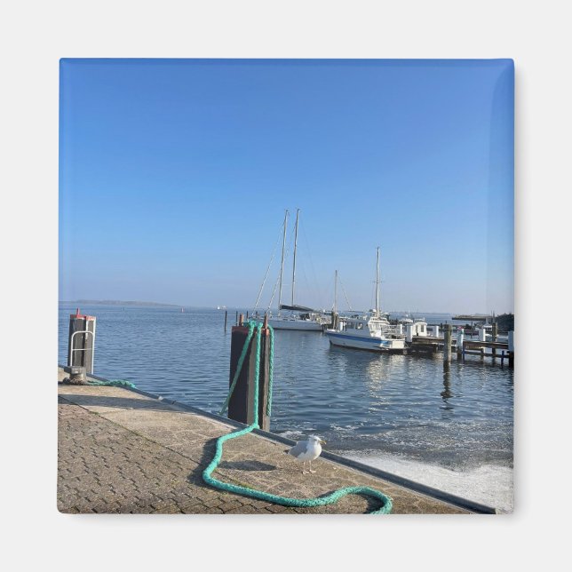 Aimant avec mouette sur la rive du port (Devant)