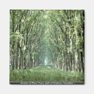 Aimant Avenue des arbres plats, parc de château,