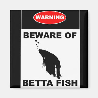 AIMANT "AVERTISSEMENT : ATTENTION AUX BETTA FISH"