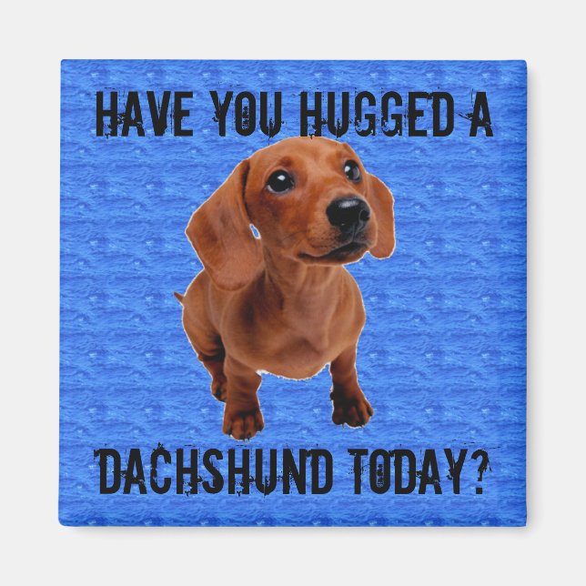 Aimant Avez-vous embrassé un Dachshund aujourd'hui ? (Devant)