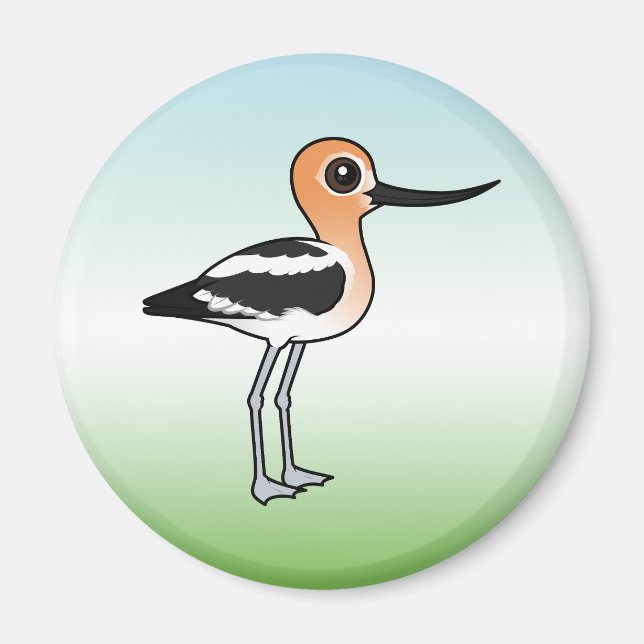Aimant Avocet américain (Devant)