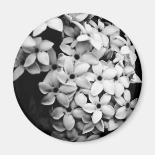 AIMANT B&W