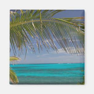 Aimant BAHAMAS, Abacos, Loyalist Cays, Man O'War Cay :