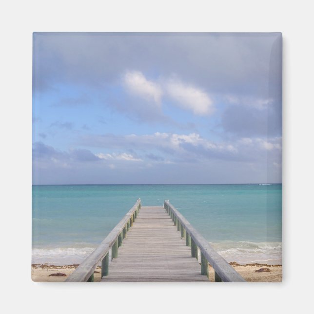 Aimant BAHAMAS, île de Grand Bahama, côté est : (Devant)