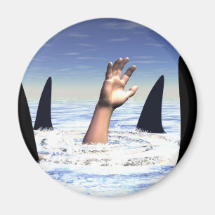 Aimant Baignade avec requins