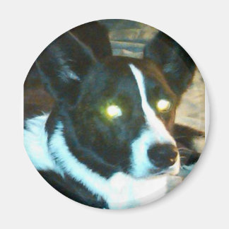 Aimant Bailey