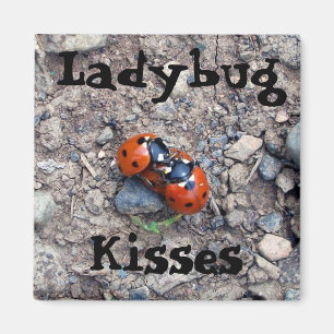 Aimant Baisers de coccinelle