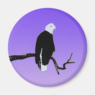 Aimant Bald Eagle at Sunset - Art original de la faune