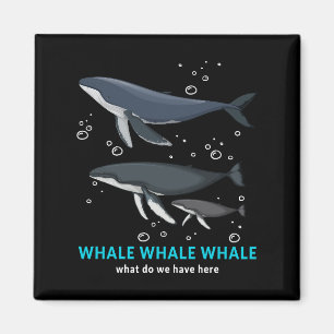 Aimant Baleine À Baleine Qu'avons-nous ici