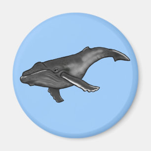 Aimant baleine de bosse