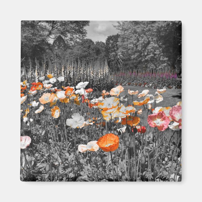 Aimant Ballarat Jardins botaniques Floral (Devant)