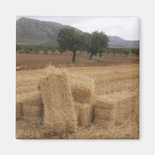 Aimant Balles de paille & Amandiers