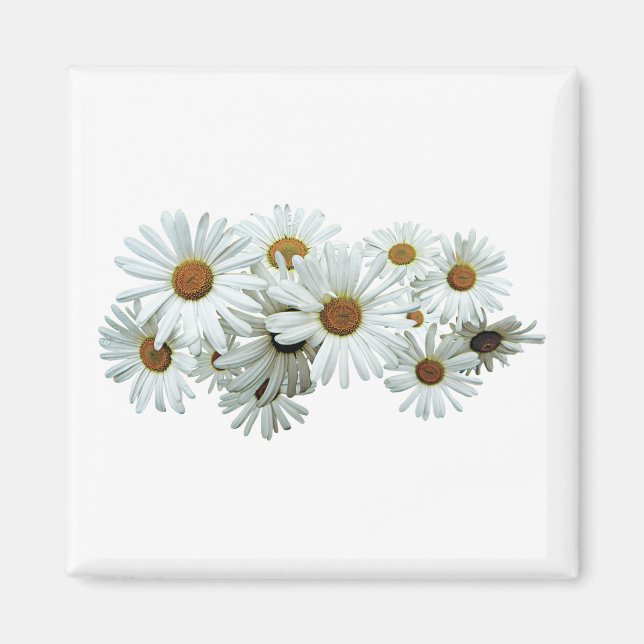 Aimant Bande de marguerites blanches (Devant)