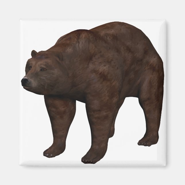 Aimant Bär (Devant)