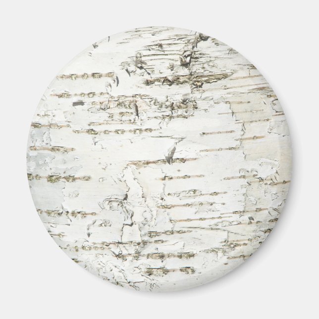 AIMANT BARK BIRCH (Devant)