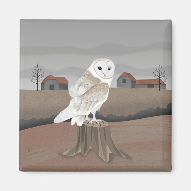 Aimant Barn Owl (Devant)