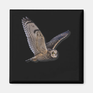 Aimant Barn Owl Spirit Animal Nature Et Amant Extérieur
