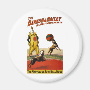 Aimant Barnum et Bailey : Chiens du football