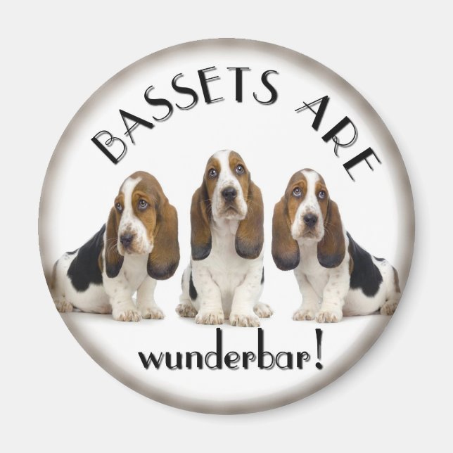 Aimant Basset Hounds (Devant)