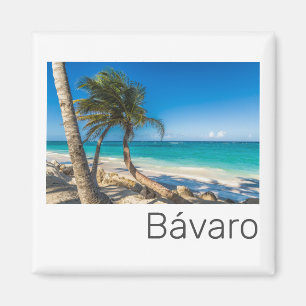 Aimant Bavaro Beach Caraïbes République Dominicaine Souve