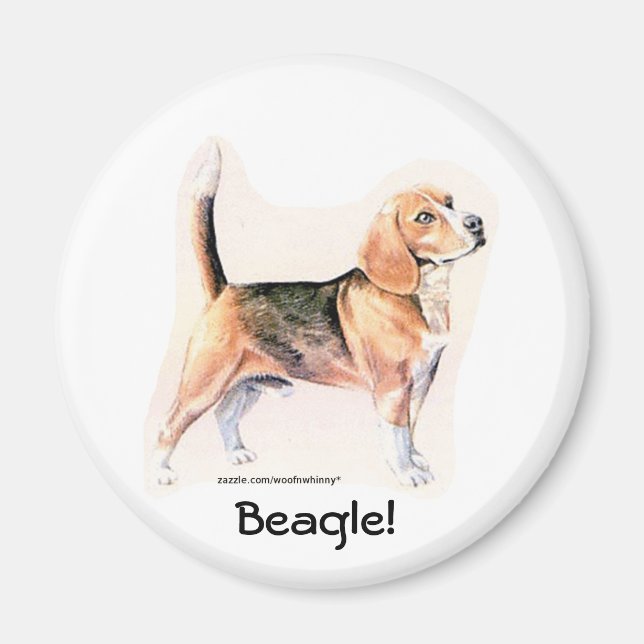 Aimant Beagle (Devant)