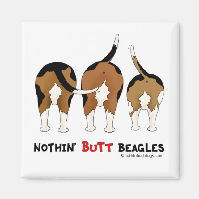Aimant Beagles de boutons (Devant)
