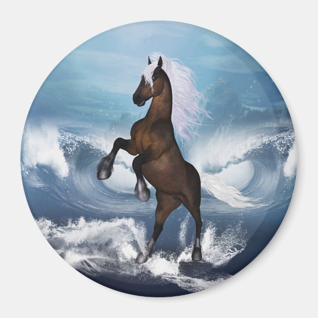 Aimant Beau cheval avec (Devant)
