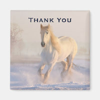 Beau cheval blanc dans le Merci photo de neige