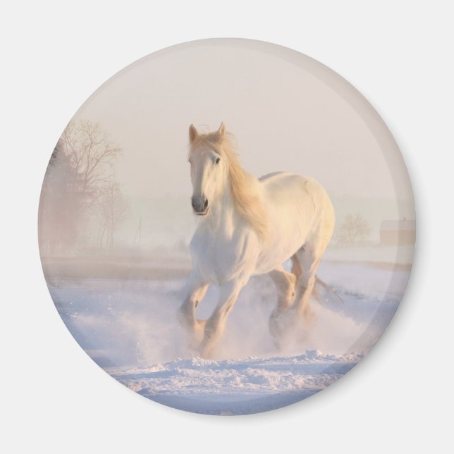 Aimant Beau Cheval Blanc Galloping dans la neige (Devant)