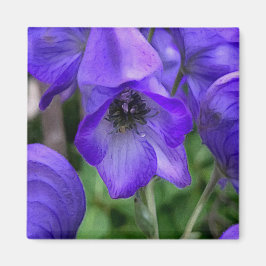 Aimant Beau Delphiniums Bleus