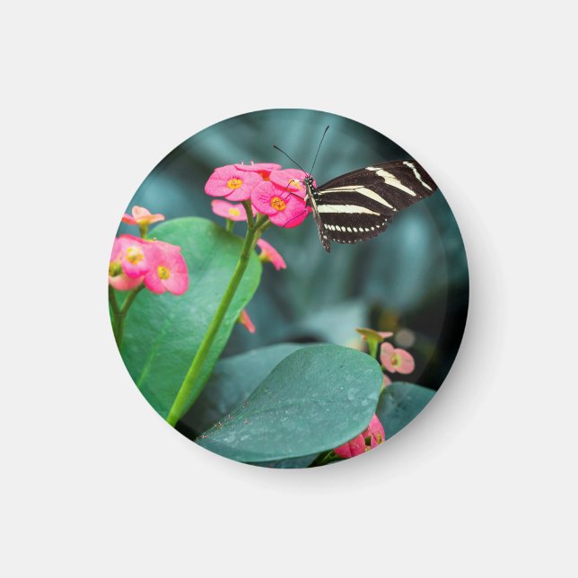 Aimant Beau papillon sur une fleur rose (Devant)