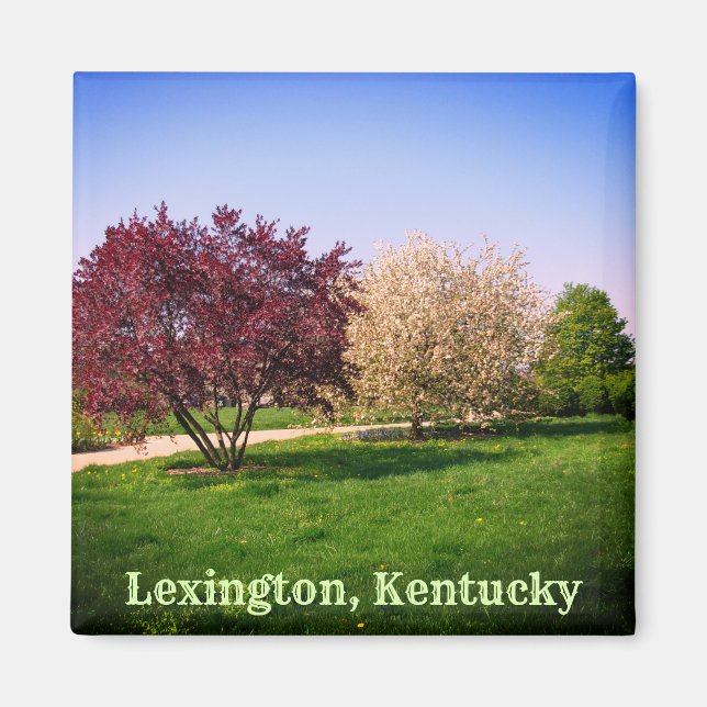 Aimant Beau paysage et arbres du Kentucky (Devant)