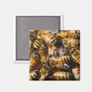 Aimant Beaucoup d'abeilles de miel