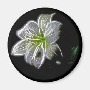 Aimant Beauté de la nature de la fleur de lys blanc