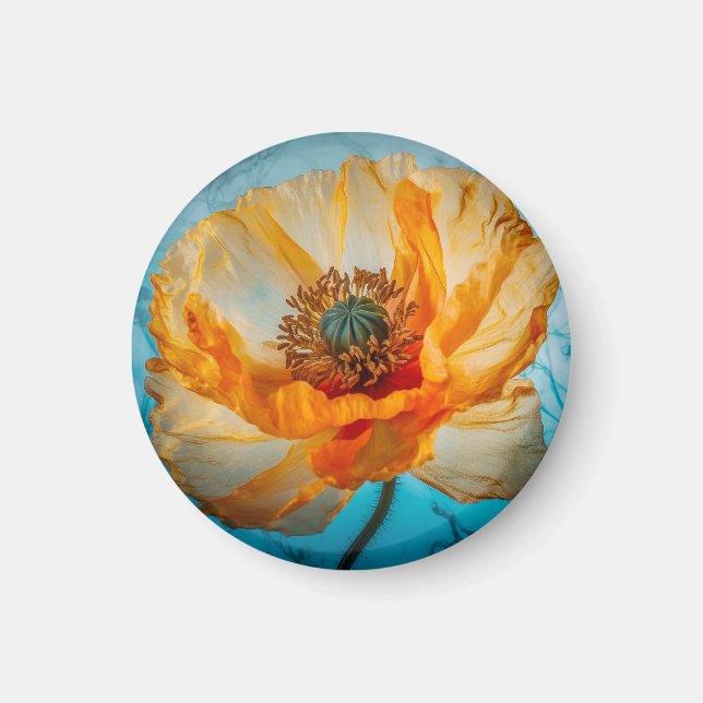 Aimant Beauté orange (Devant)