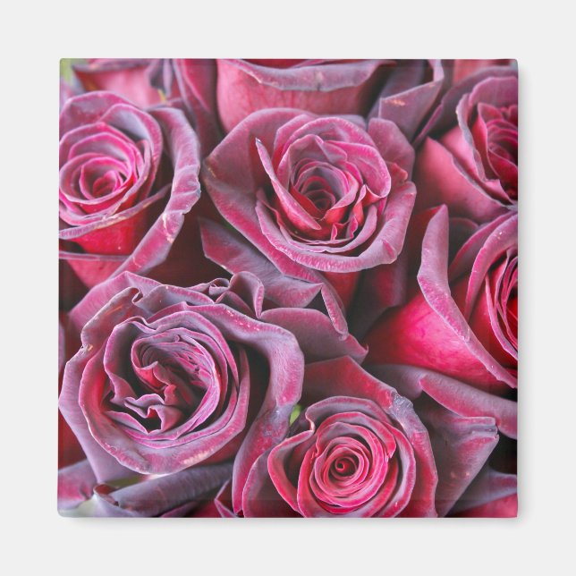 Aimant Beauté Velvet (Devant)