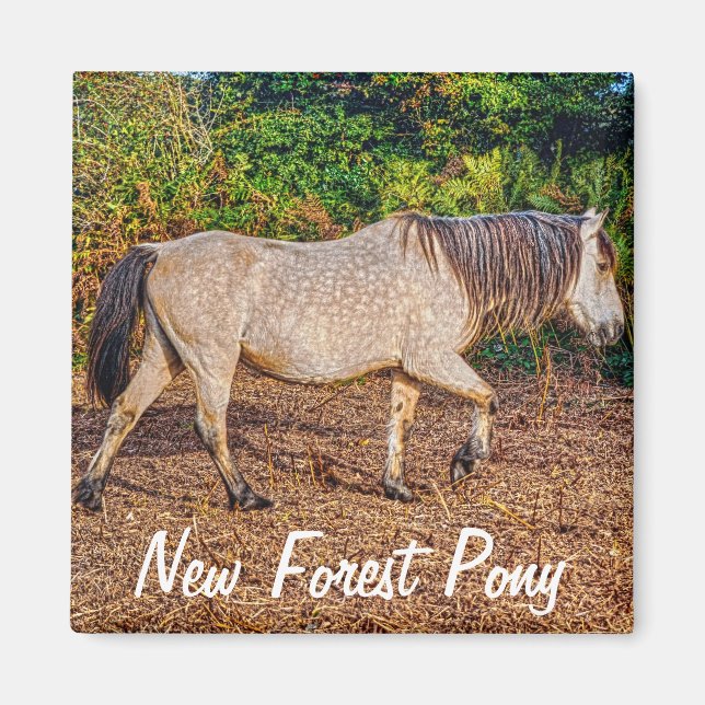 Aimant Beautiful Equines Cheval-lover's Gift (Devant)