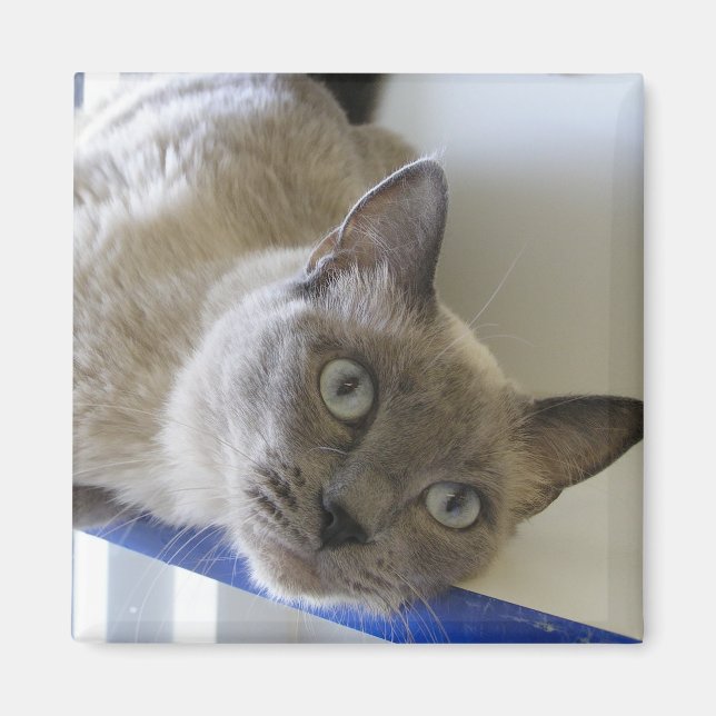 Aimant Bébé (Devant)