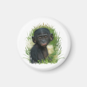 Aimant Bébé Bonobo Ape