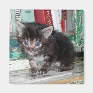 Aimant Bébé Kitty