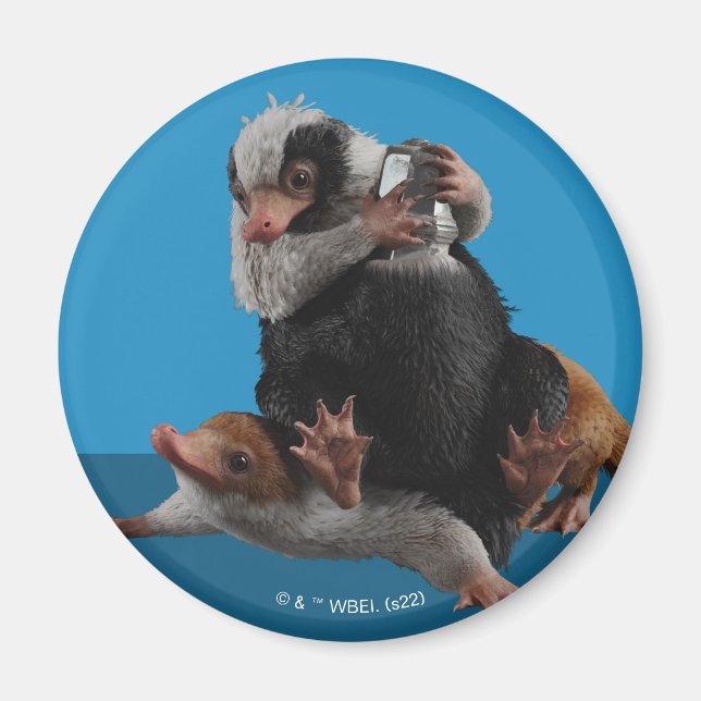 Aimant Bébé Nifflers Trouve Un Prix (Devant)