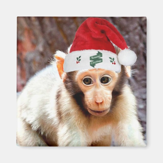 Aimant Bébé singe à Noël (Devant)
