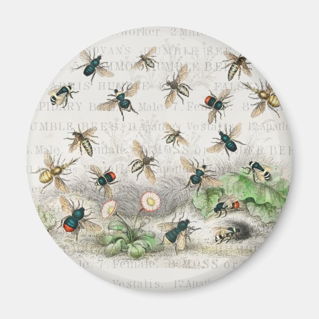 Aimant Bee Honey Travailleur Queen Bees Antique (Devant)