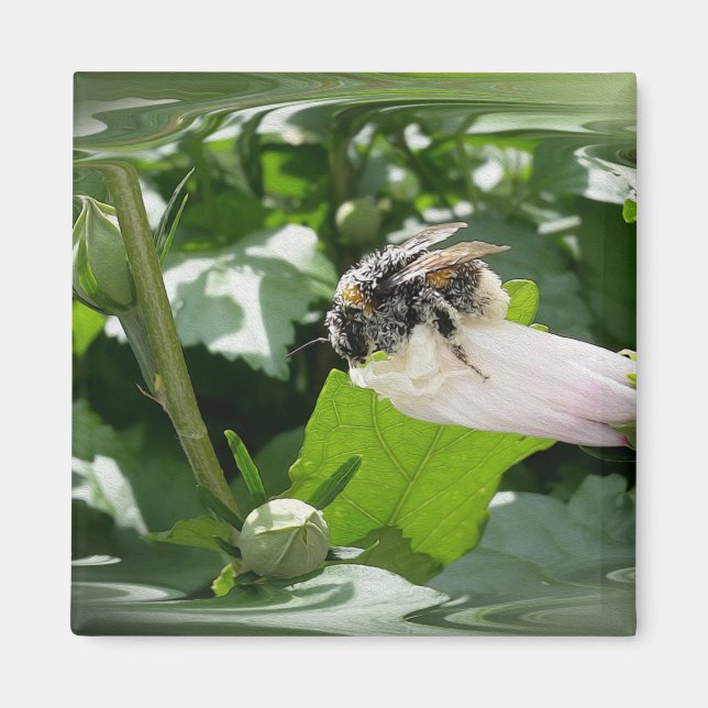 Aimant Bee in summer (Devant)